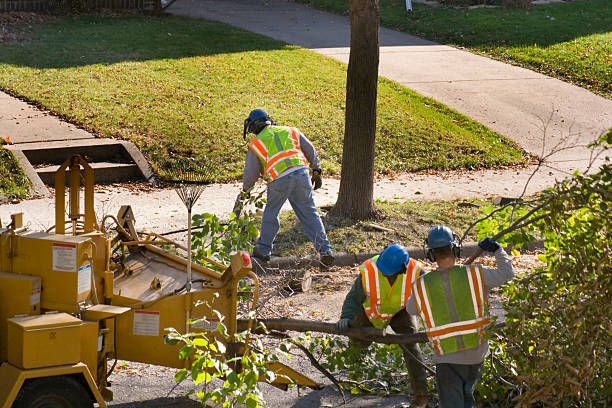 Best Lawn Mowing Services  in Bedminster, NJ